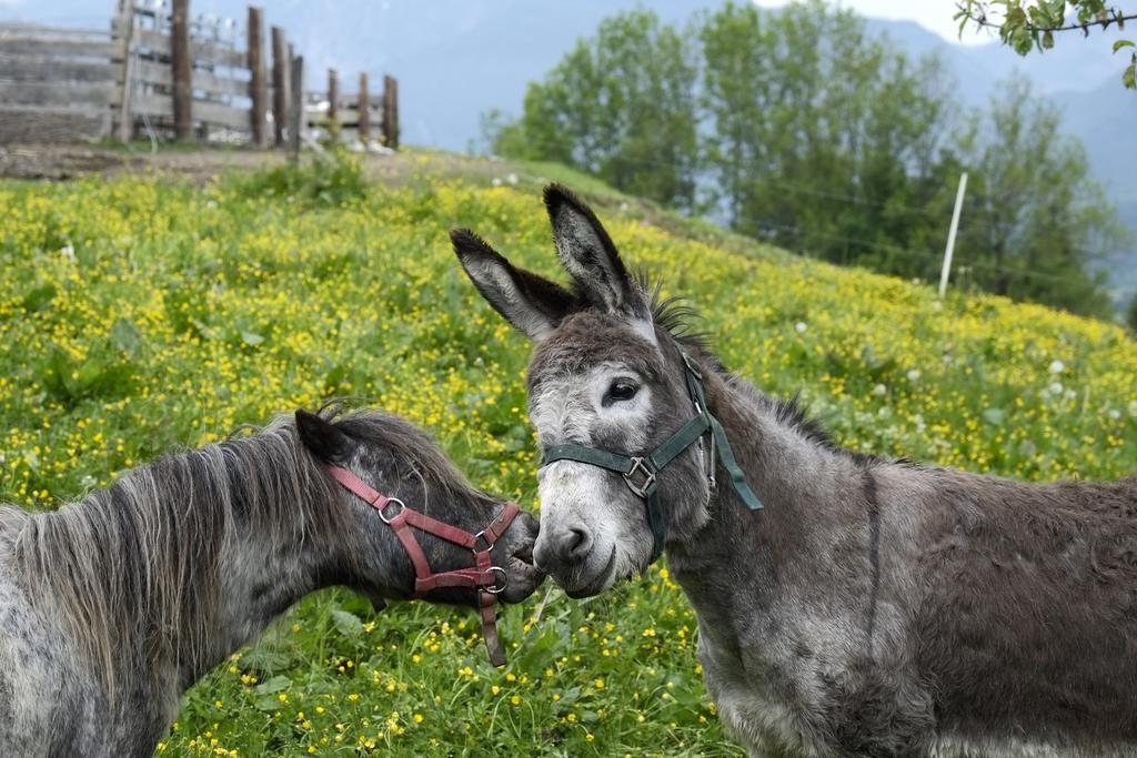 Christernhof Villa Maria Alm am Steinernen Meer Bagian luar foto