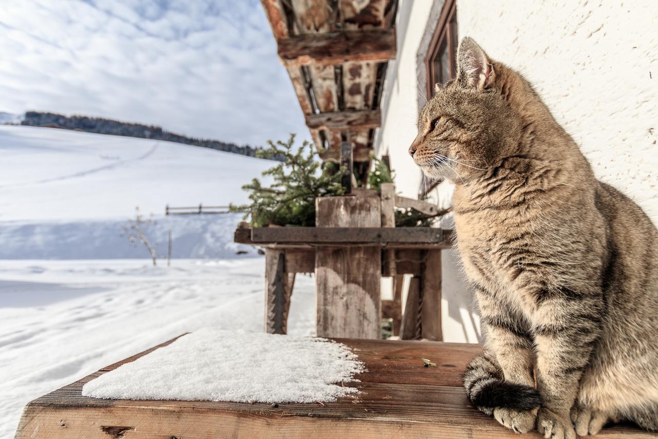 Christernhof Villa Maria Alm am Steinernen Meer Bagian luar foto
