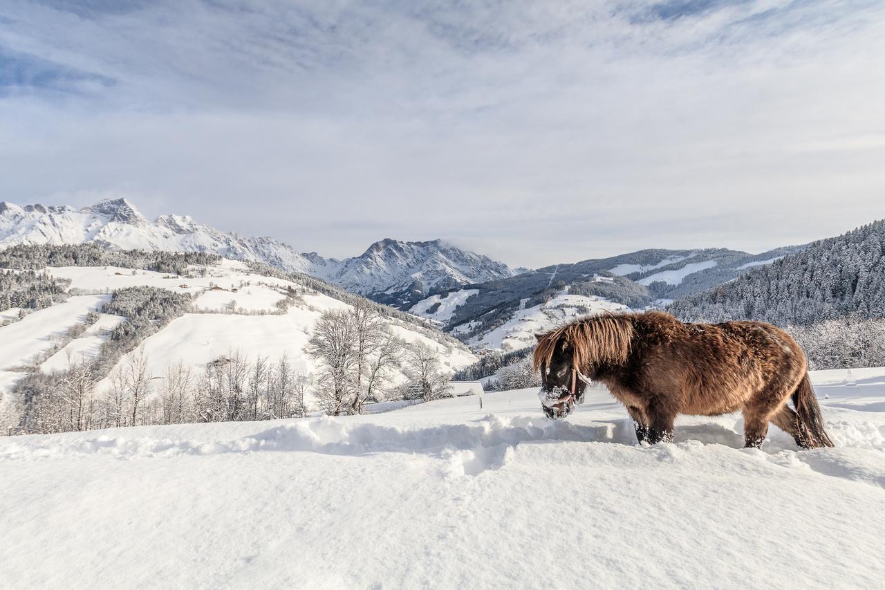 Christernhof Villa Maria Alm am Steinernen Meer Bagian luar foto